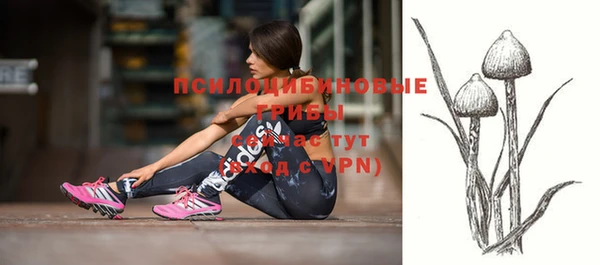 СК Алексеевка