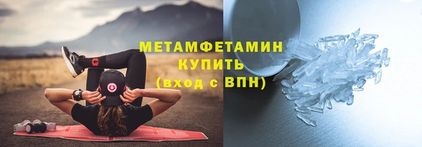 прущие грибы Саяногорск