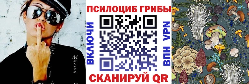 как найти закладки  Богданович  Галлюциногенные грибы Psilocybe 